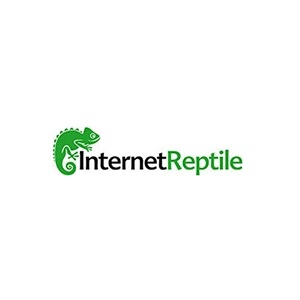 Internet Reptile